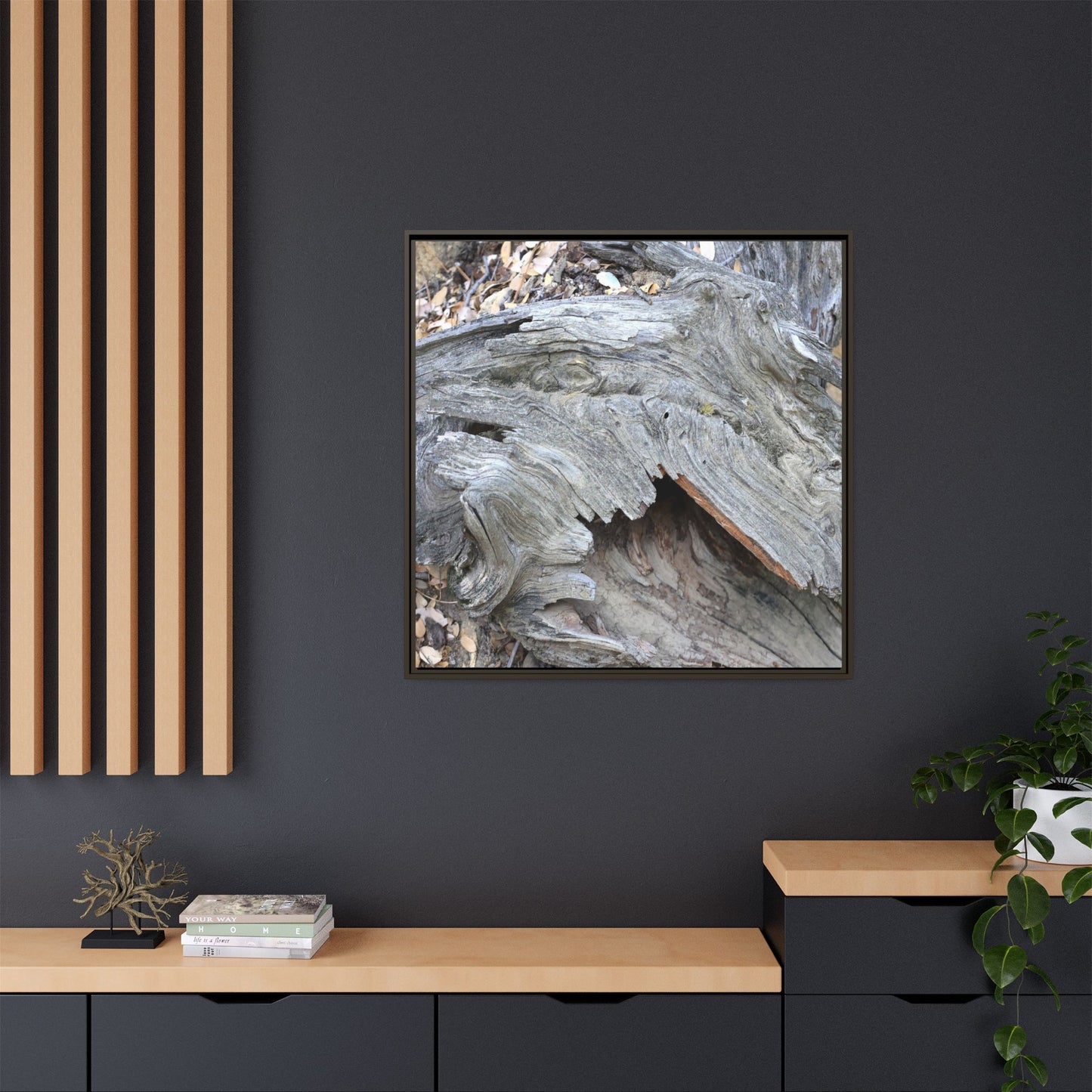 Driftwood Dreams - Unique Stretched Canvas Wall Art - Art By Earth