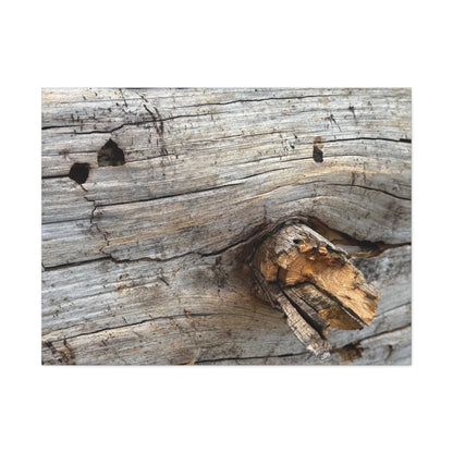 Weathered Wood Portrait - Unique Frameless Canvas Wall Art - Art By Earth