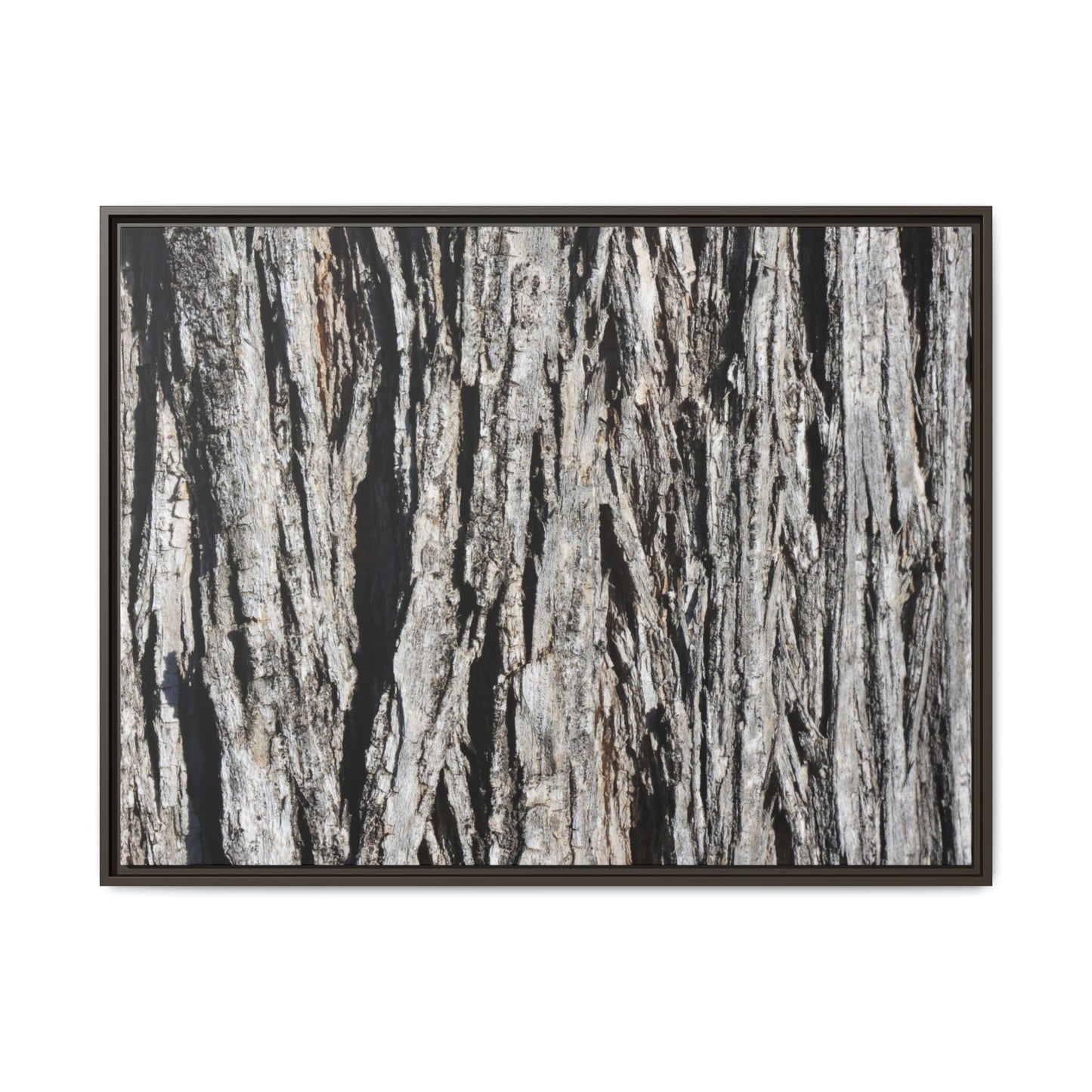 Nature's Abstract - Unique Stretched Canvas Wall Art - Art By Earth