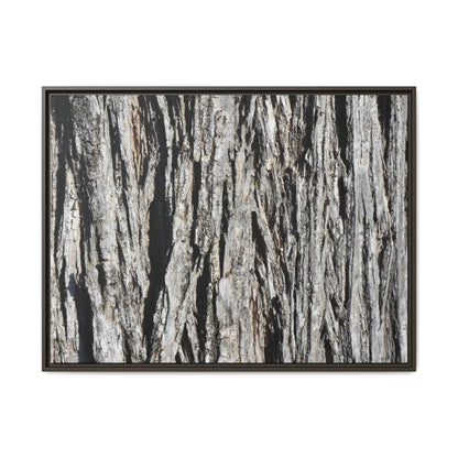 Nature's Abstract - Unique Stretched Canvas Wall Art - Art By Earth