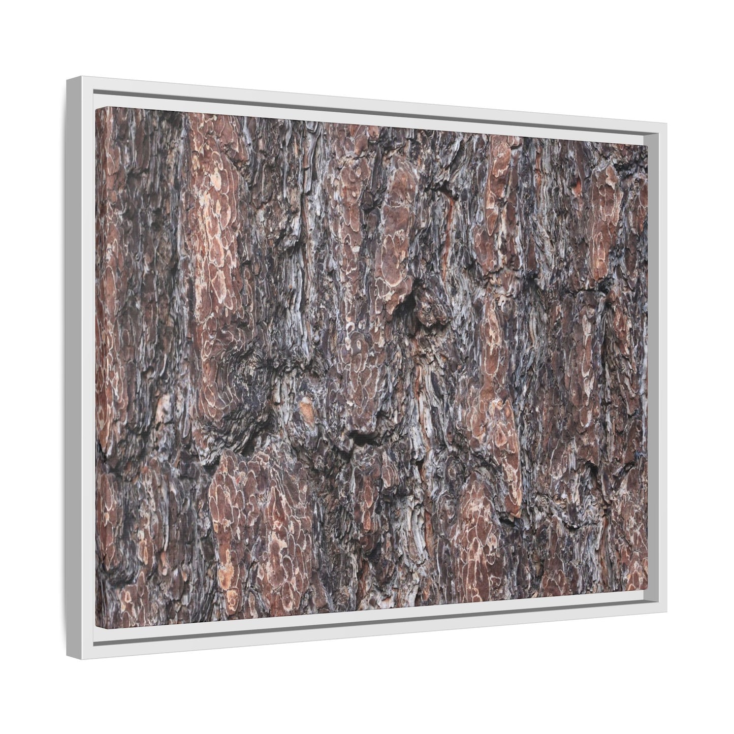 Echoes of Wood - Unique Stretched Canvas Wall Art