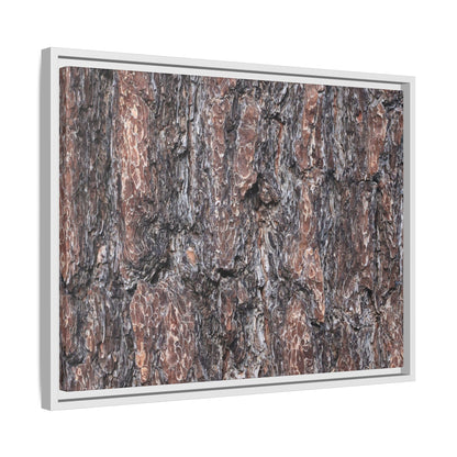 Echoes of Wood - Unique Stretched Canvas Wall Art