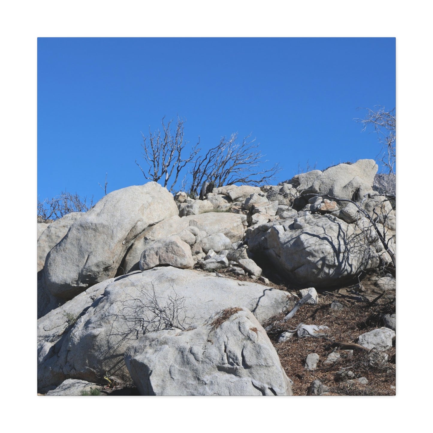 Desert Rocks Under Blue Sky - Unique Frameless Canvas Wall Art - Art By Earth