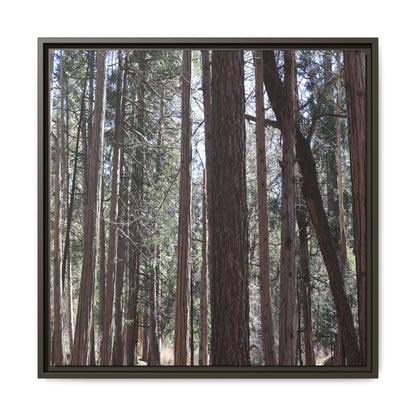 Forest Cathedral - Unique Stretched Canvas Wall Art - Art By Earth