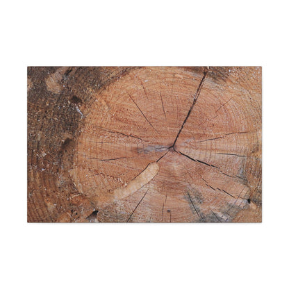 Timber Tale - Unique Frameless Canvas Wall Art - Art By Earth