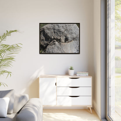 Stone Skull in Desert - Unique Stretched Canvas Wall Art
