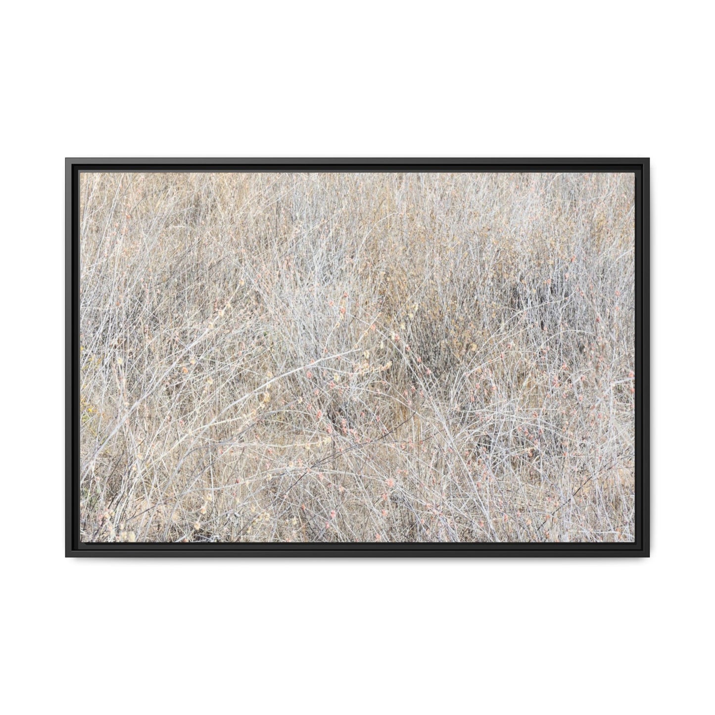 Whispers of Dry Grass - Unique Stretched Canvas Wall Art - Art By Earth