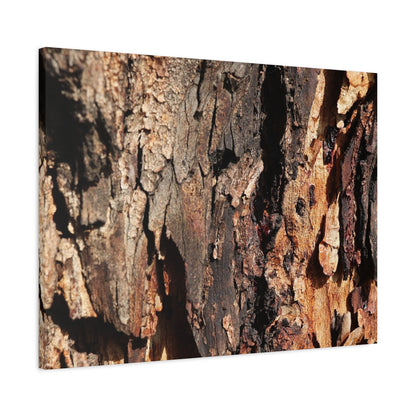 Wooden Terrain - Unique Frameless Canvas Wall Art - Art By Earth