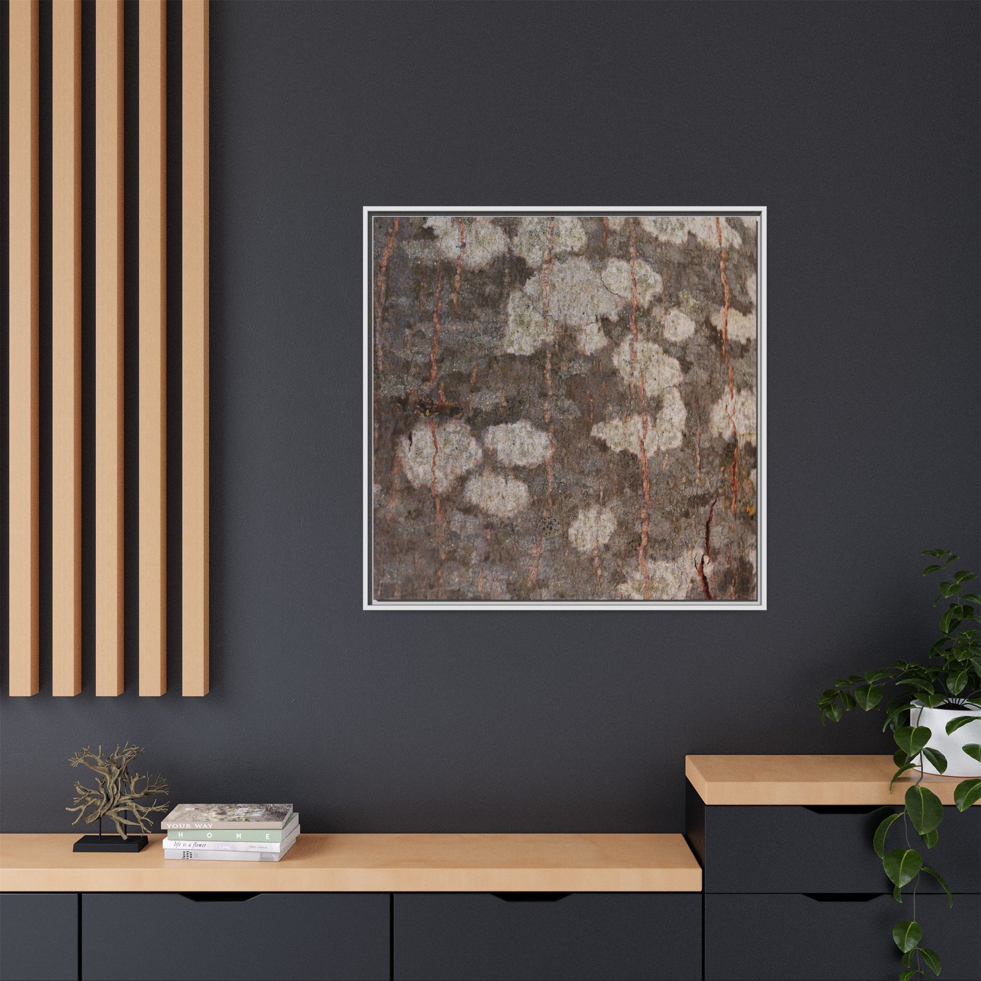 Lichen's Legacy - Unique Stretched Canvas Wall Art - Art By Earth