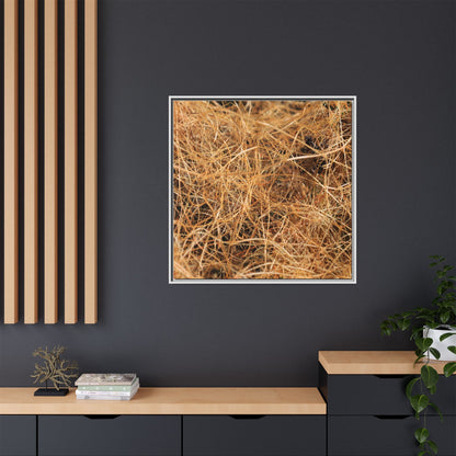 Dried Grass - Unique Stretched Canvas Wall Art - Art By Earth