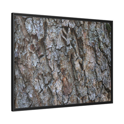 Woodland Skin - Unique Stretched Canvas Wall Art - Art By Earth