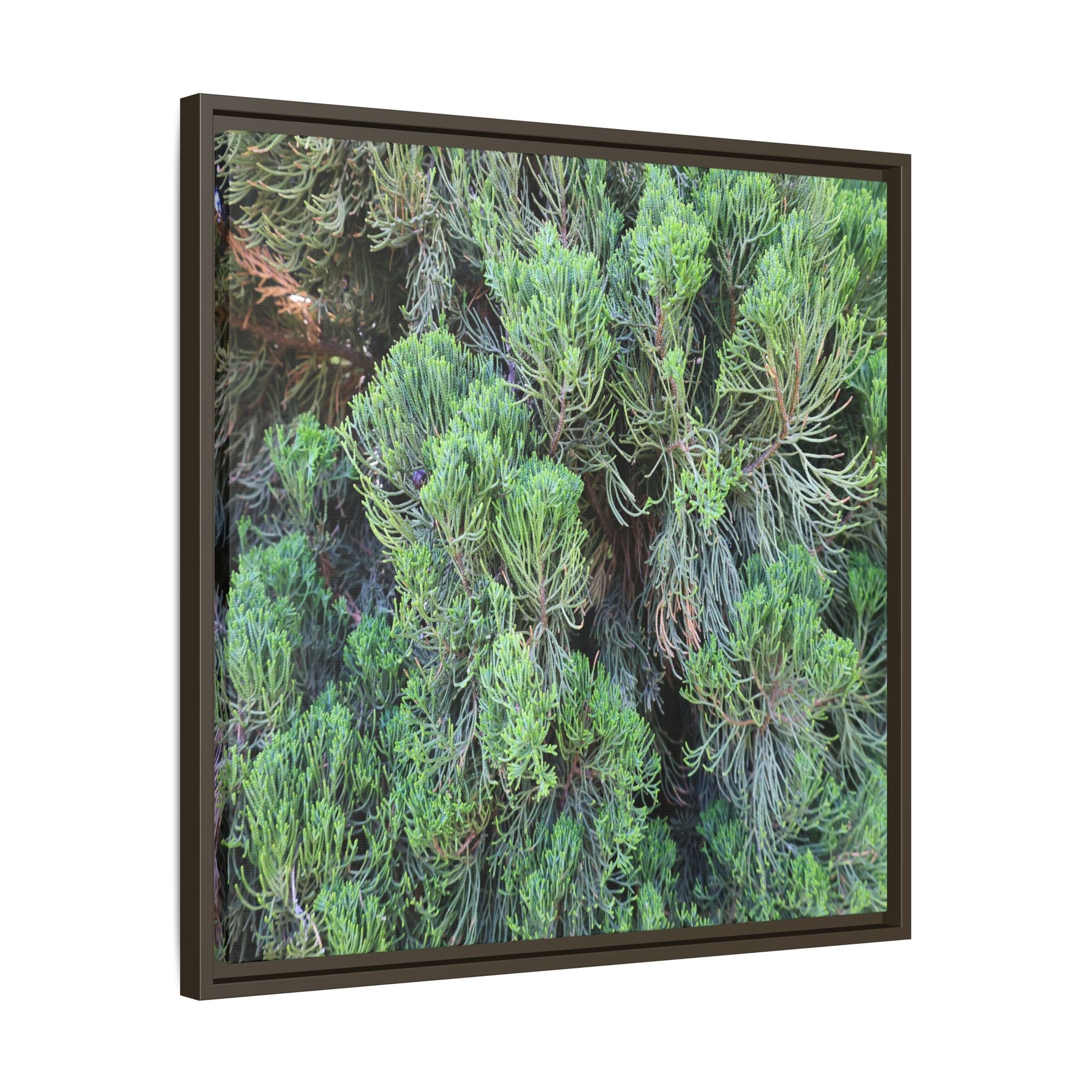 Verdant Whispers - Unique Stretched Canvas Wall Art - Art By Earth