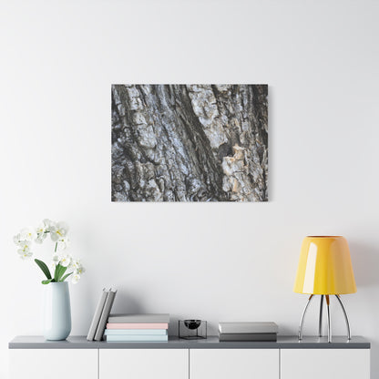 Nature's Rough Embrace - Unique Frameless Canvas Wall Art - Art By Earth