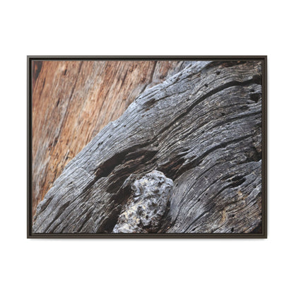 Time's Mark on Timber - Unique Stretched Canvas Wall Art - Art By Earth