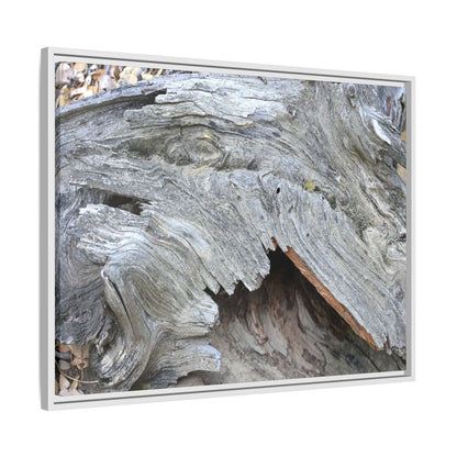 Driftwood Dreams - Unique Stretched Canvas Wall Art - Art By Earth