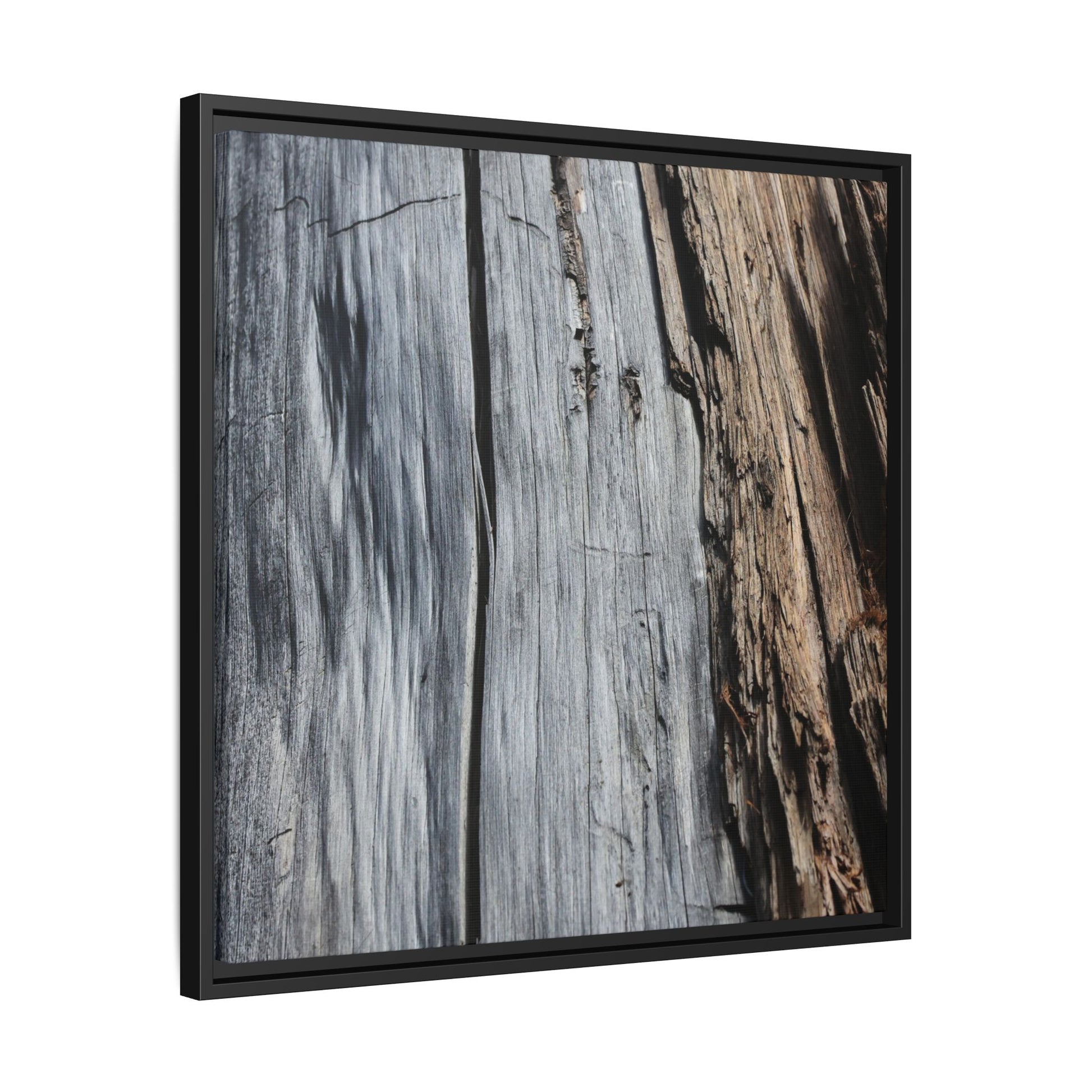 Wood's Lament - Unique Stretched Canvas Wall Art - Art By Earth