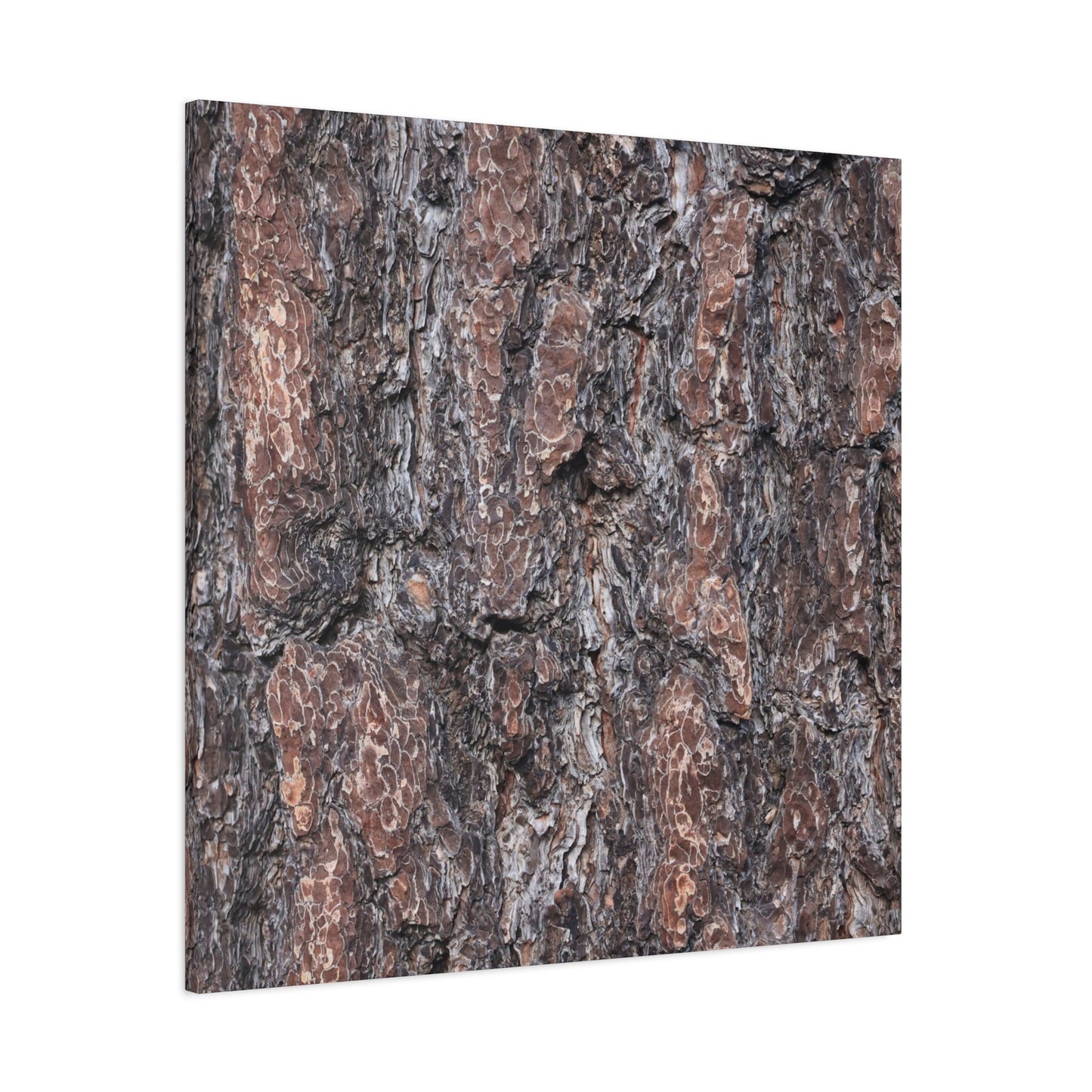 Textured Whispers of an Ancient Tree - Unique Frameless Canvas Wall Art