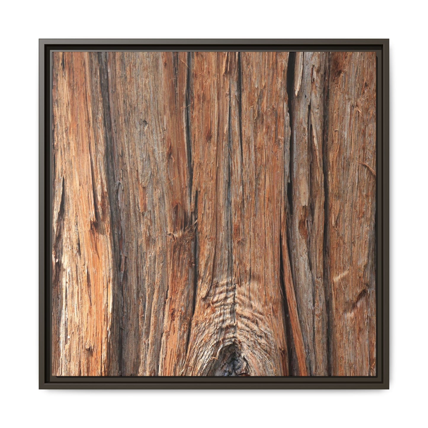 Echoes of Timber - Unique Stretched Canvas Wall Art - Art By Earth