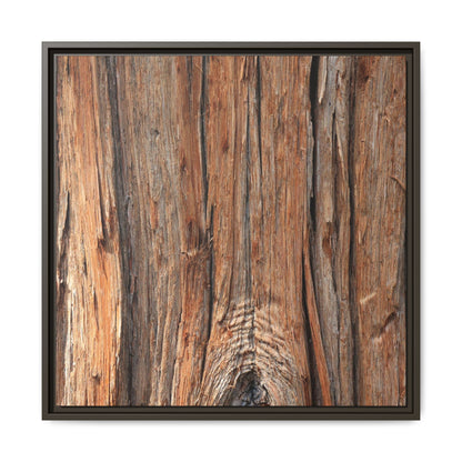 Echoes of Timber - Unique Stretched Canvas Wall Art - Art By Earth
