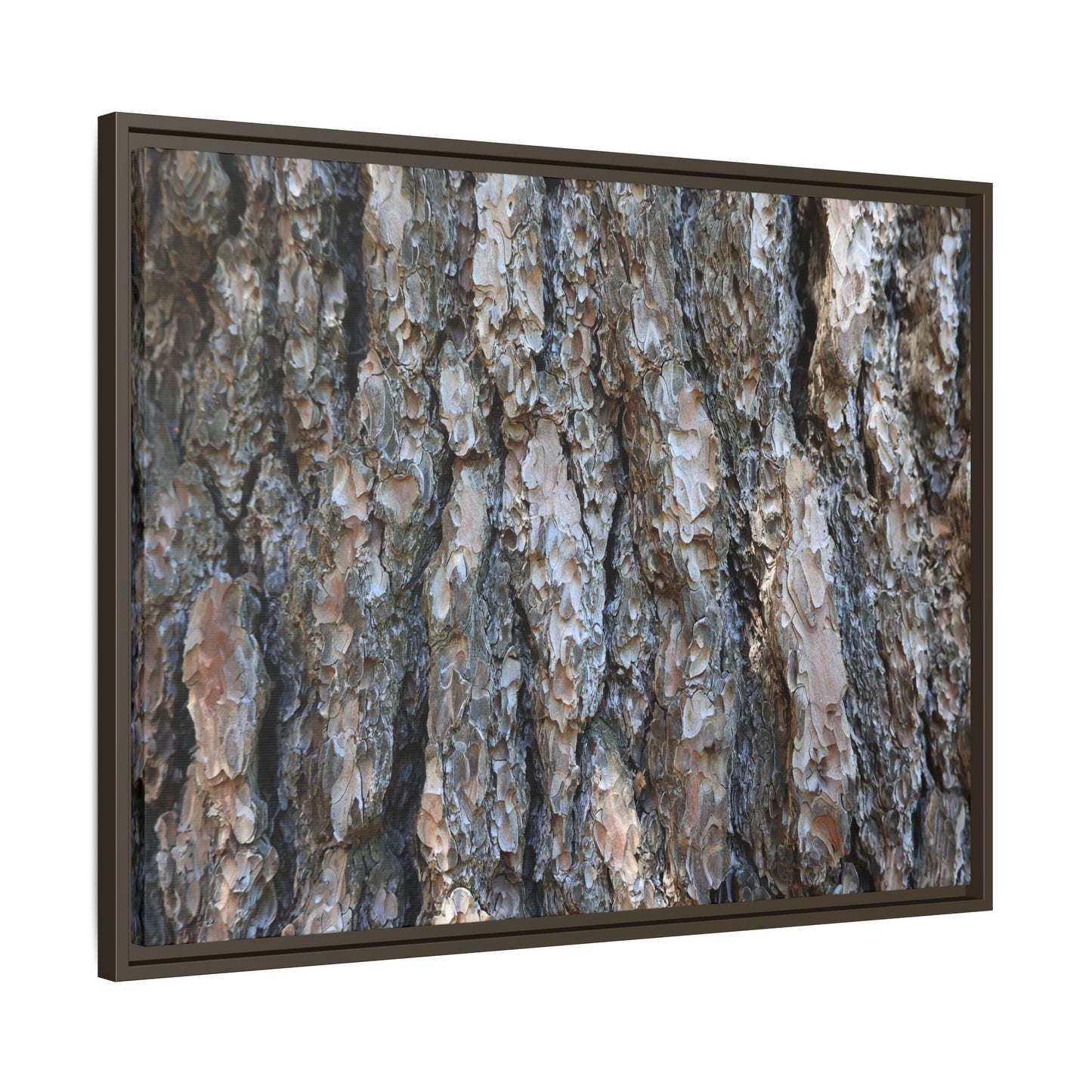 Bark Whispers - Unique Stretched Canvas Wall Art - Art By Earth