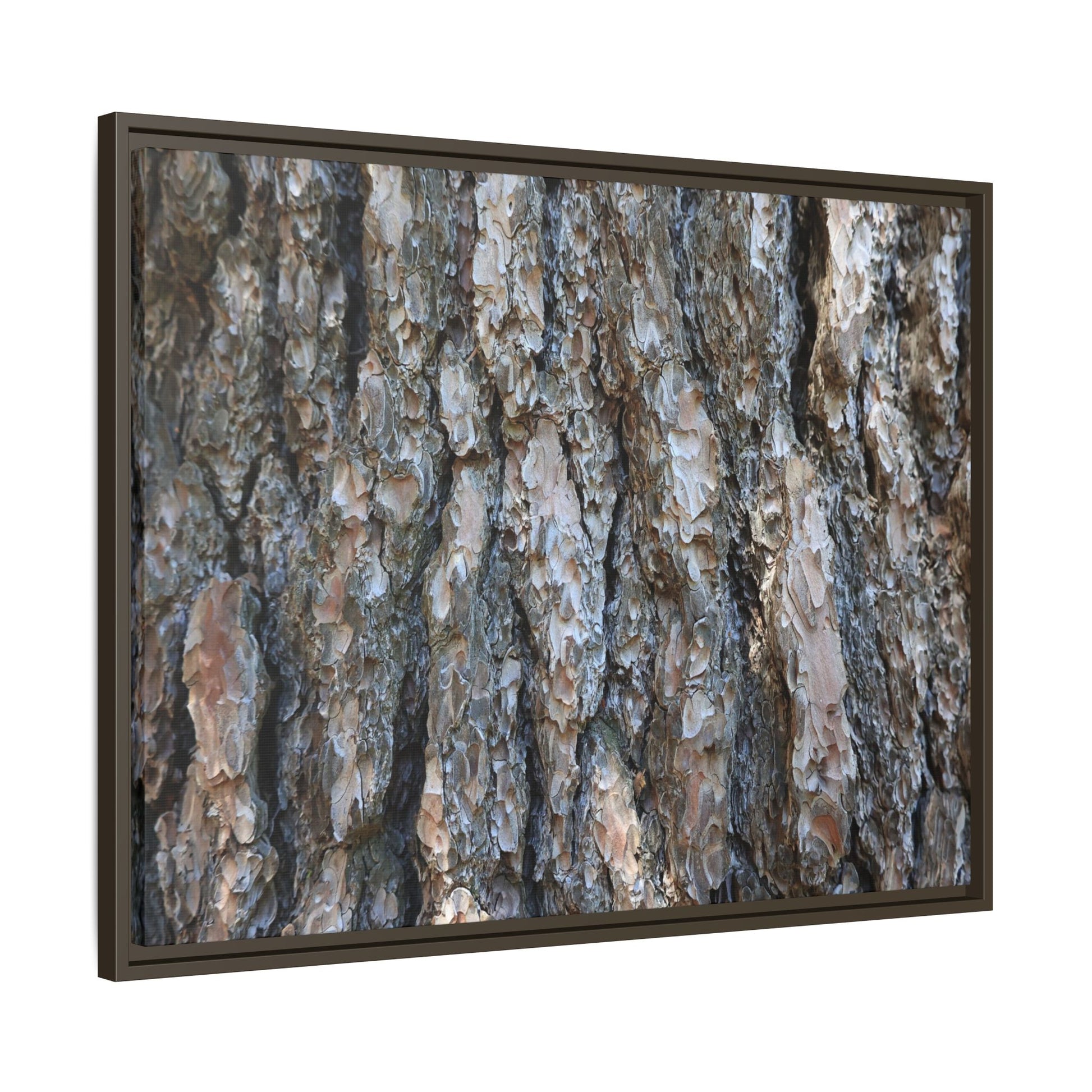 Bark Whispers - Unique Stretched Canvas Wall Art - Art By Earth