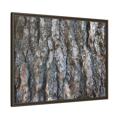 Bark Whispers - Unique Stretched Canvas Wall Art - Art By Earth