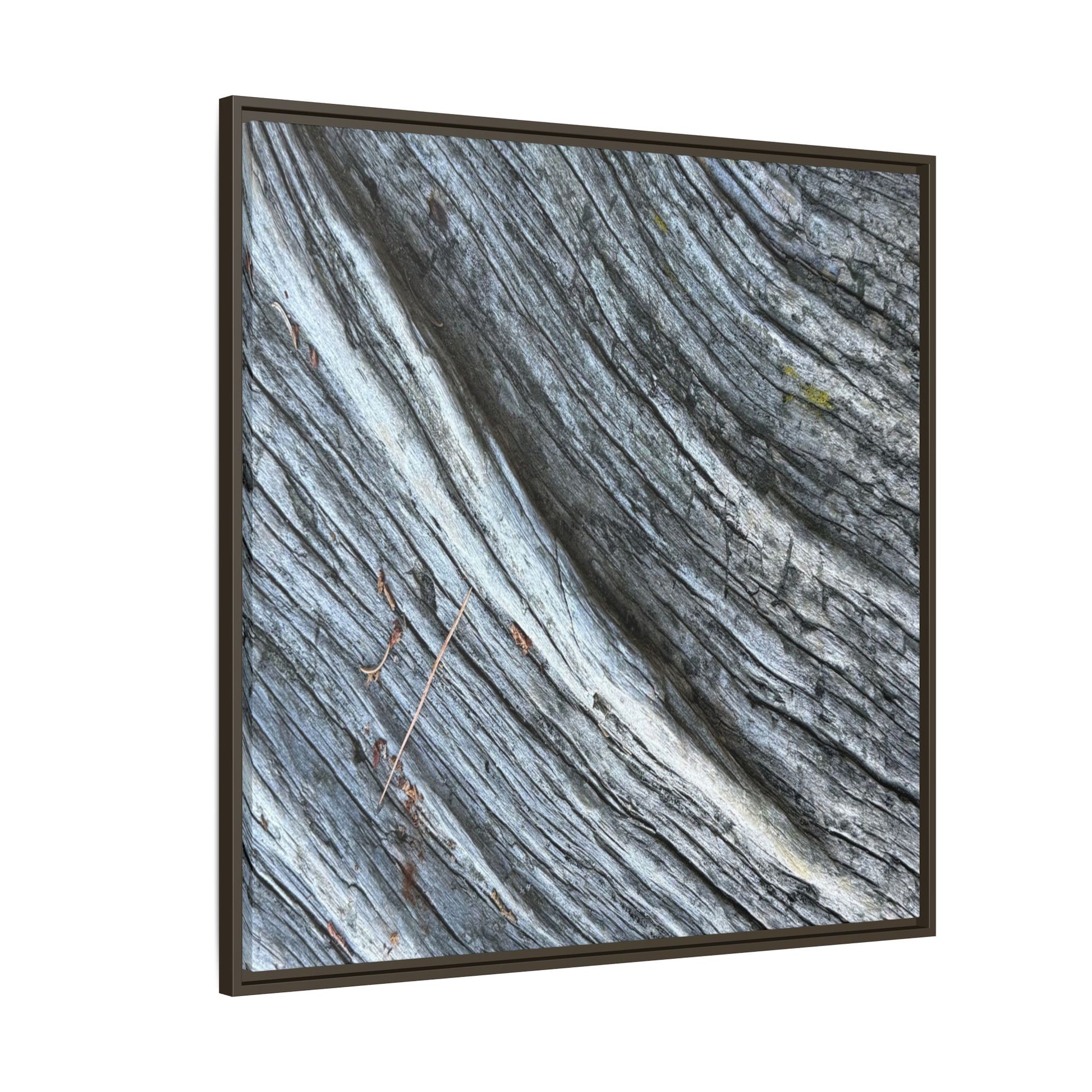 Time's Carved Path - Unique Stretched Canvas Wall Art - Art By Earth