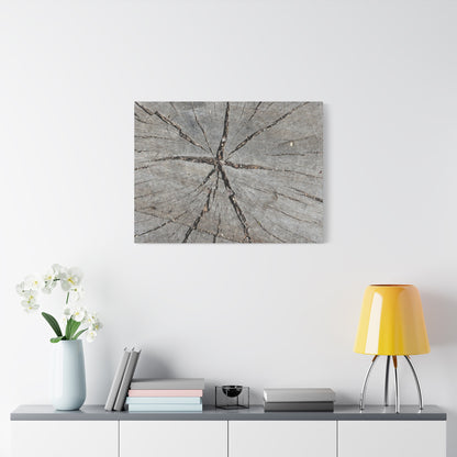Cracked Chronicle - Unique Frameless Canvas Wall Art - Art By Earth