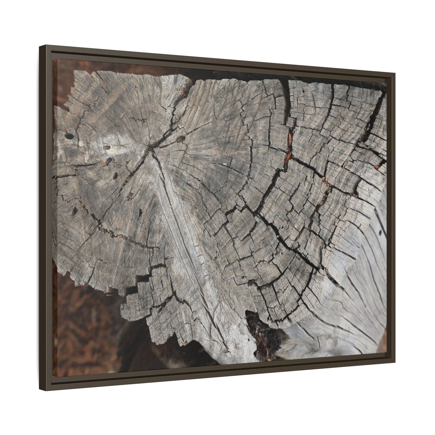 Time's Signature - Unique Stretched Canvas Wall Art - Art By Earth