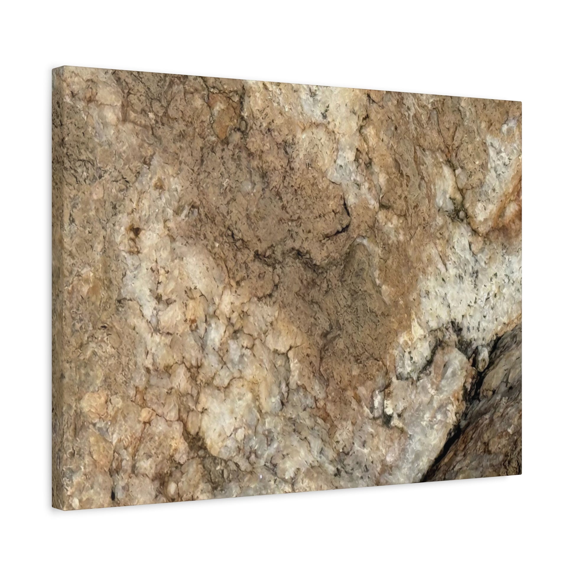 Desert Terrain - Unique Frameless Canvas Wall Art - Art By Earth