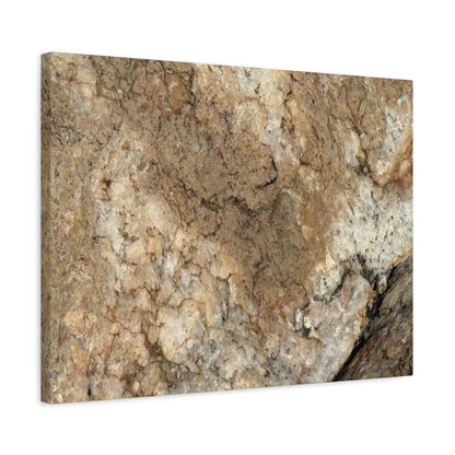 Desert Terrain - Unique Frameless Canvas Wall Art - Art By Earth