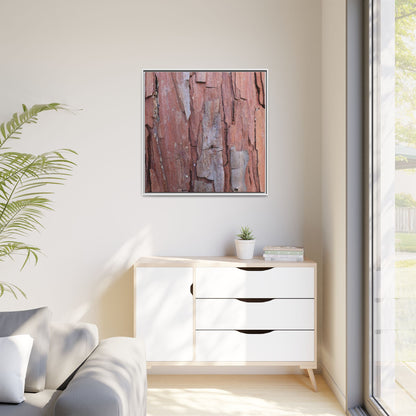 Peeling Bark - Unique Stretched Canvas Wall Art - Art By Earth