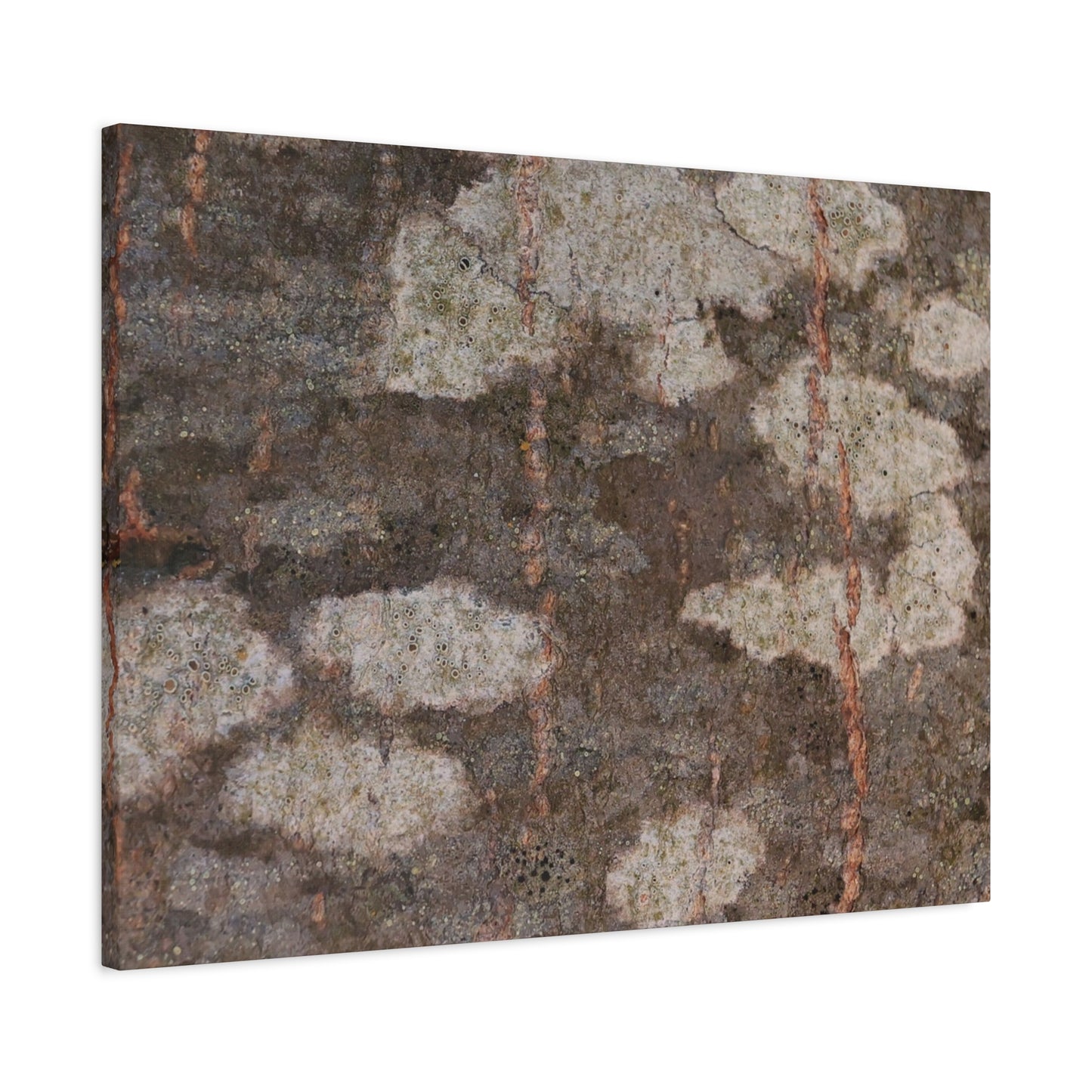 Earthen Memoir - Unique Frameless Canvas Wall Art - Art By Earth