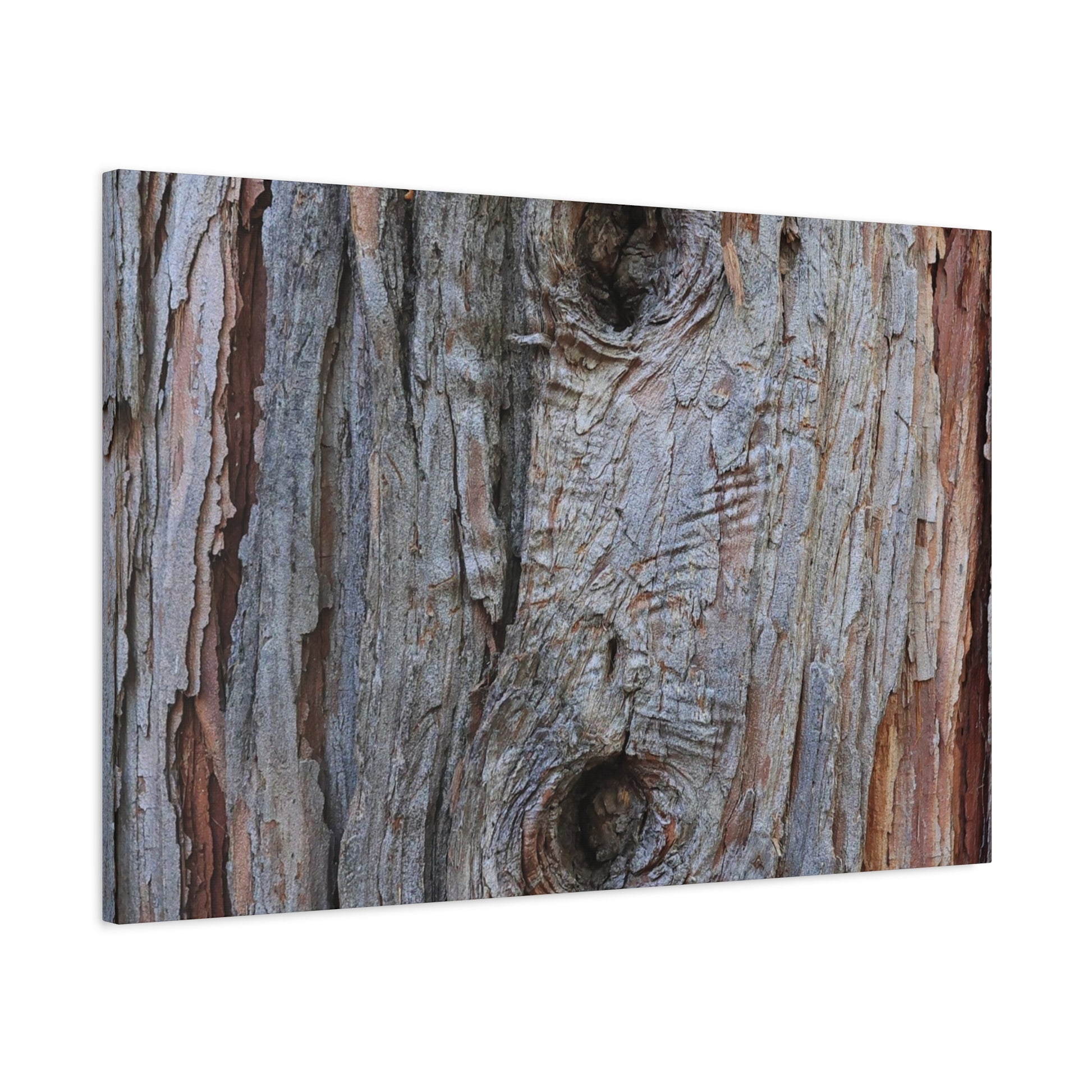 Wooden Memoir - Unique Frameless Canvas Wall Art - Art By Earth