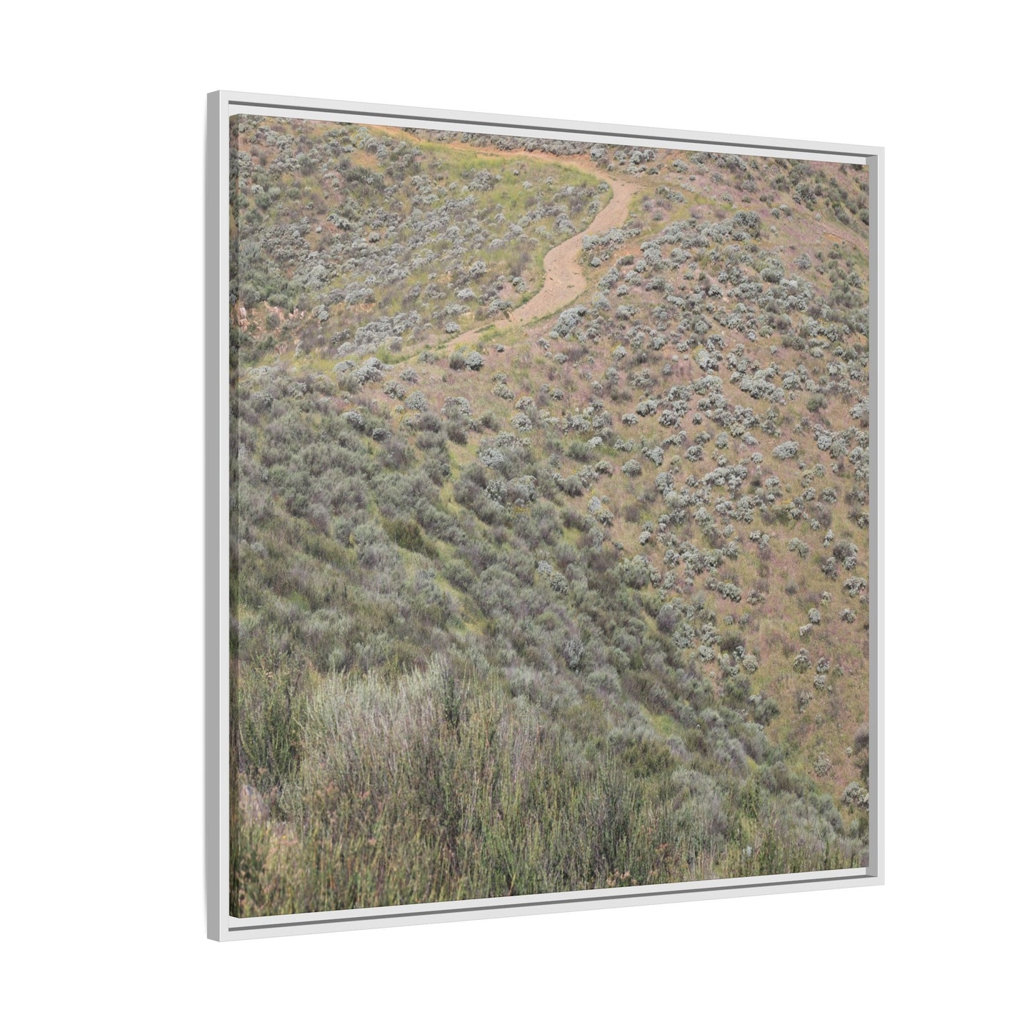 Arid Landscape with Winding Path - Unique Stretched Canvas Wall Art - Art By Earth