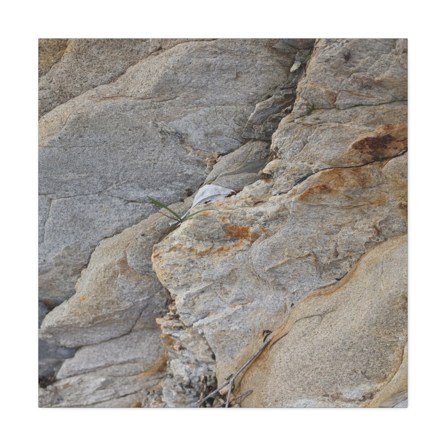 Fractal Earth - Unique Frameless Canvas Wall Art - Art By Earth