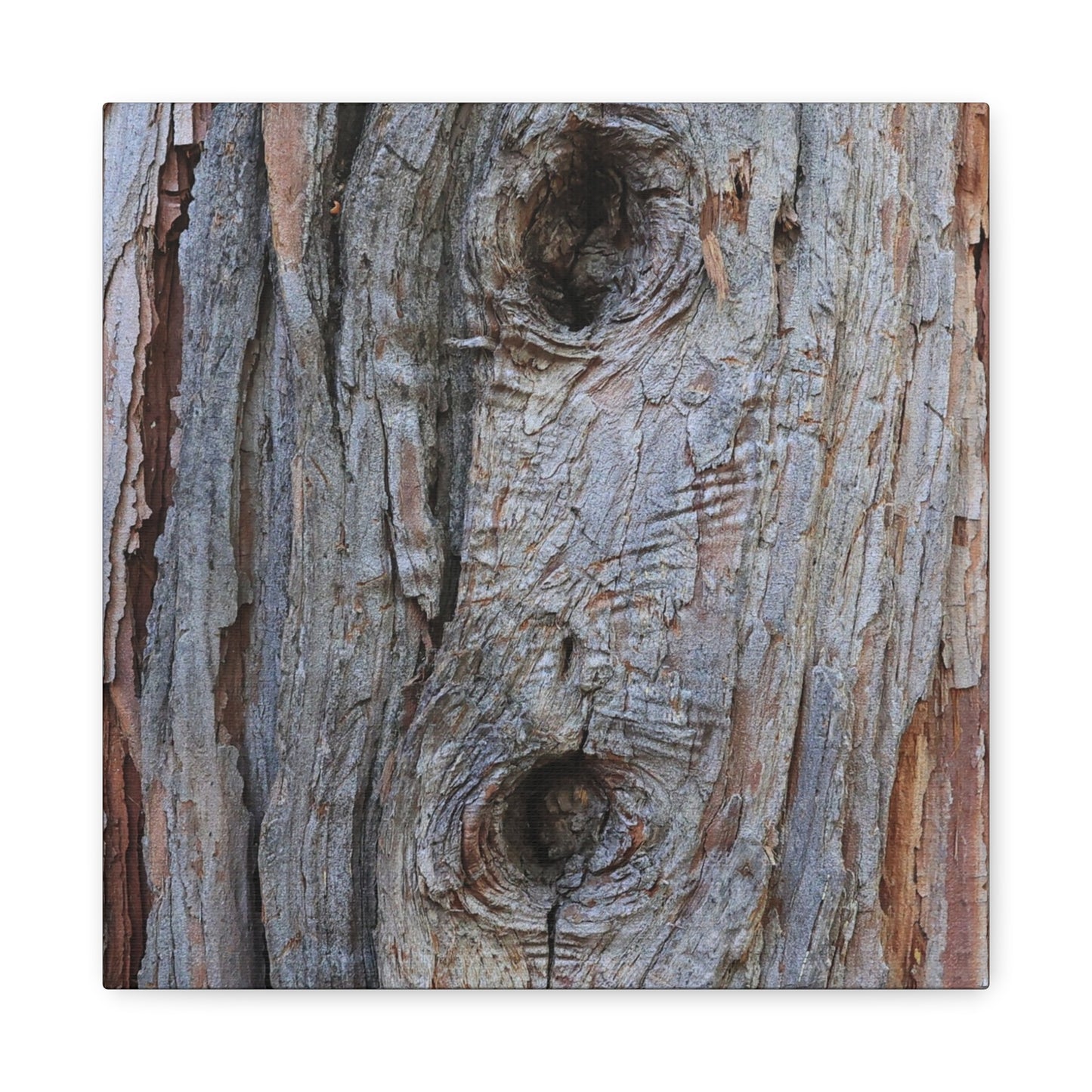 Wooden Memoir - Unique Frameless Canvas Wall Art - Art By Earth