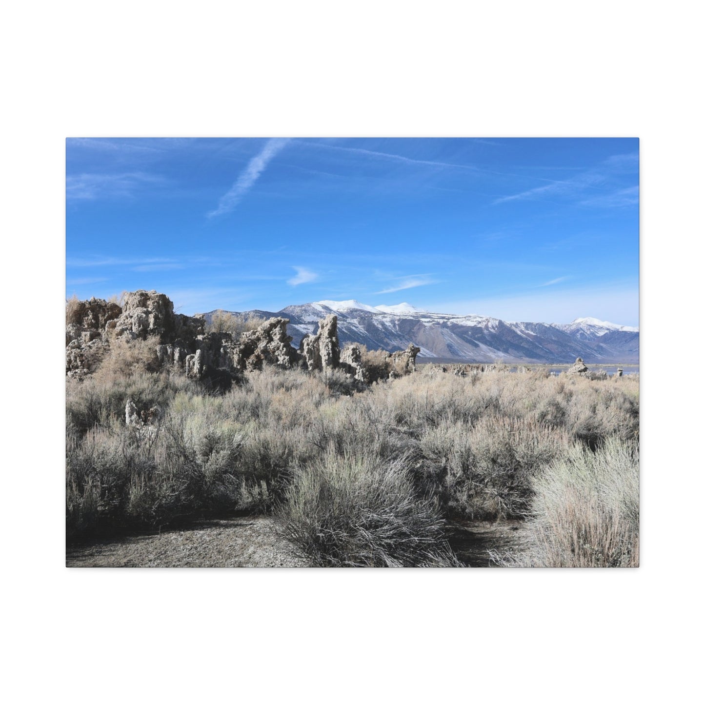 Echoes of Solitude - Unique Frameless Canvas Wall Art