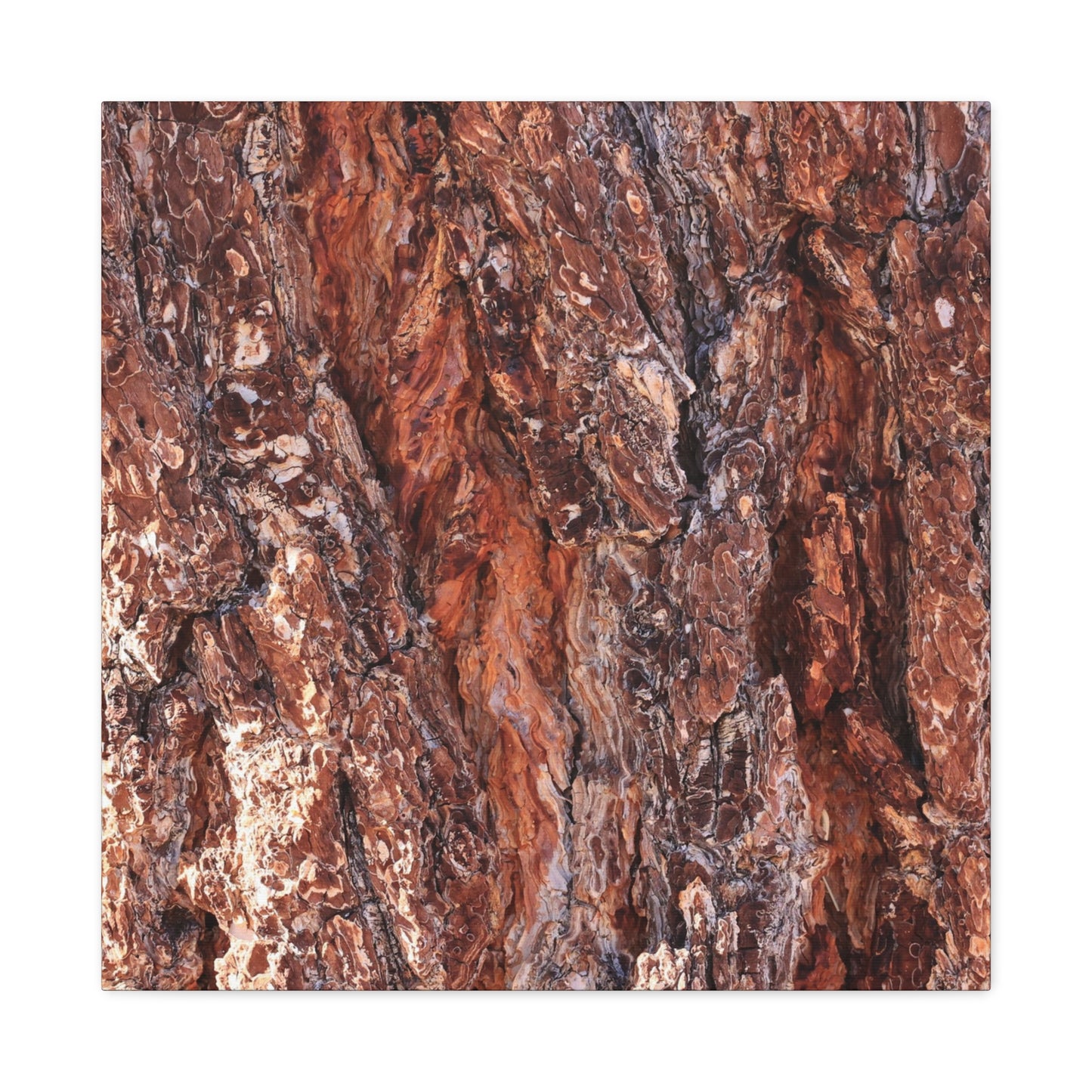 Rust and Ridges - Unique Frameless Canvas Wall Art