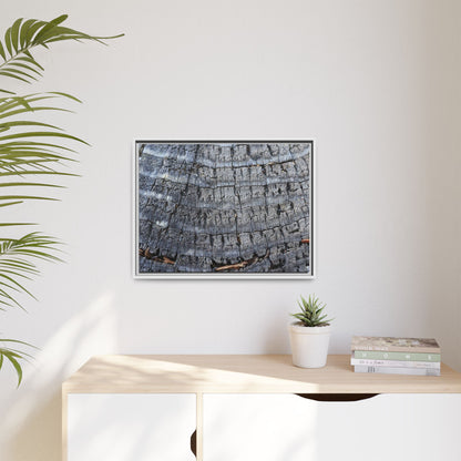 Charred Memories - Unique Stretched Canvas Wall Art - Art By Earth