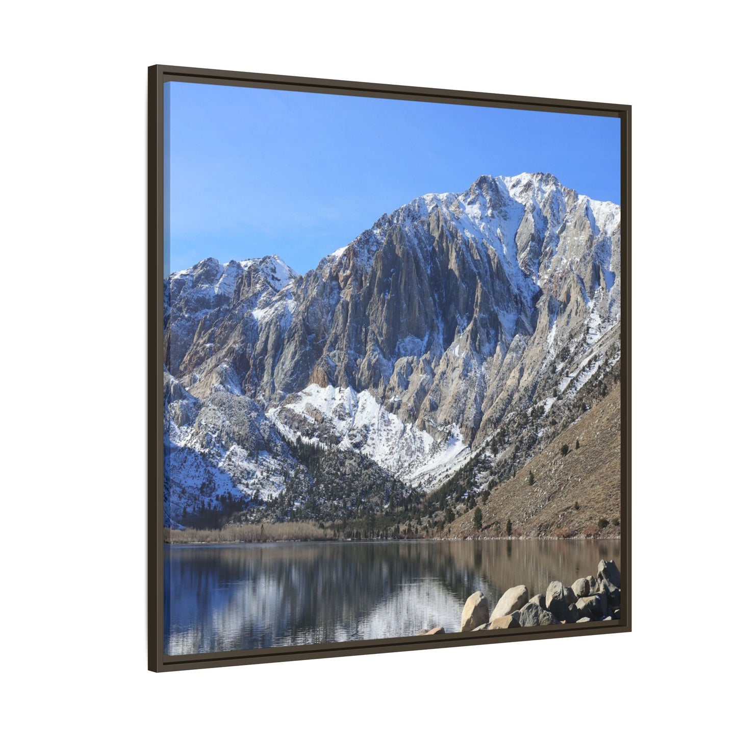 Frozen Reflection - Unique Stretched Canvas Wall Art