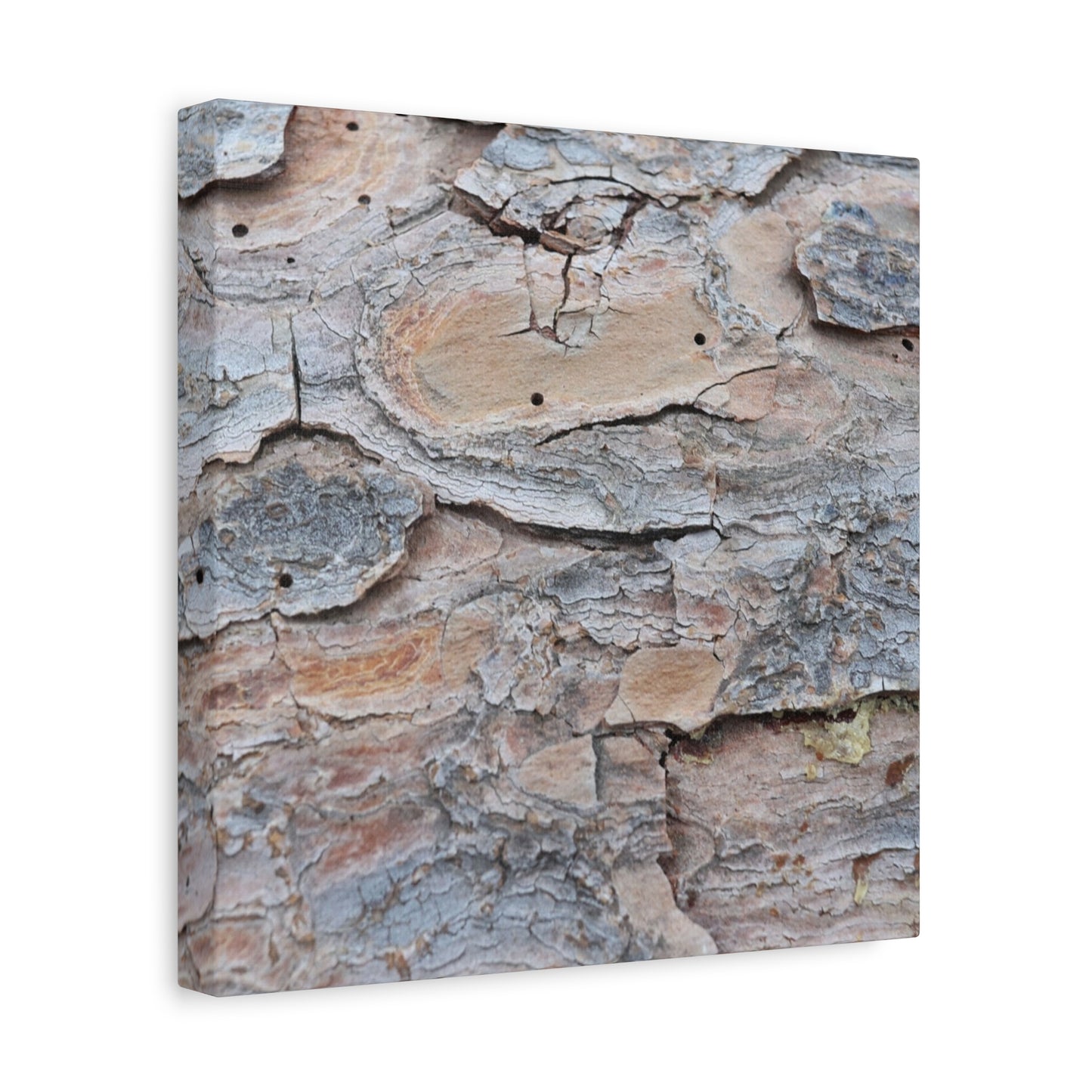Textural Geology - Unique Frameless Canvas Wall Art - Art By Earth
