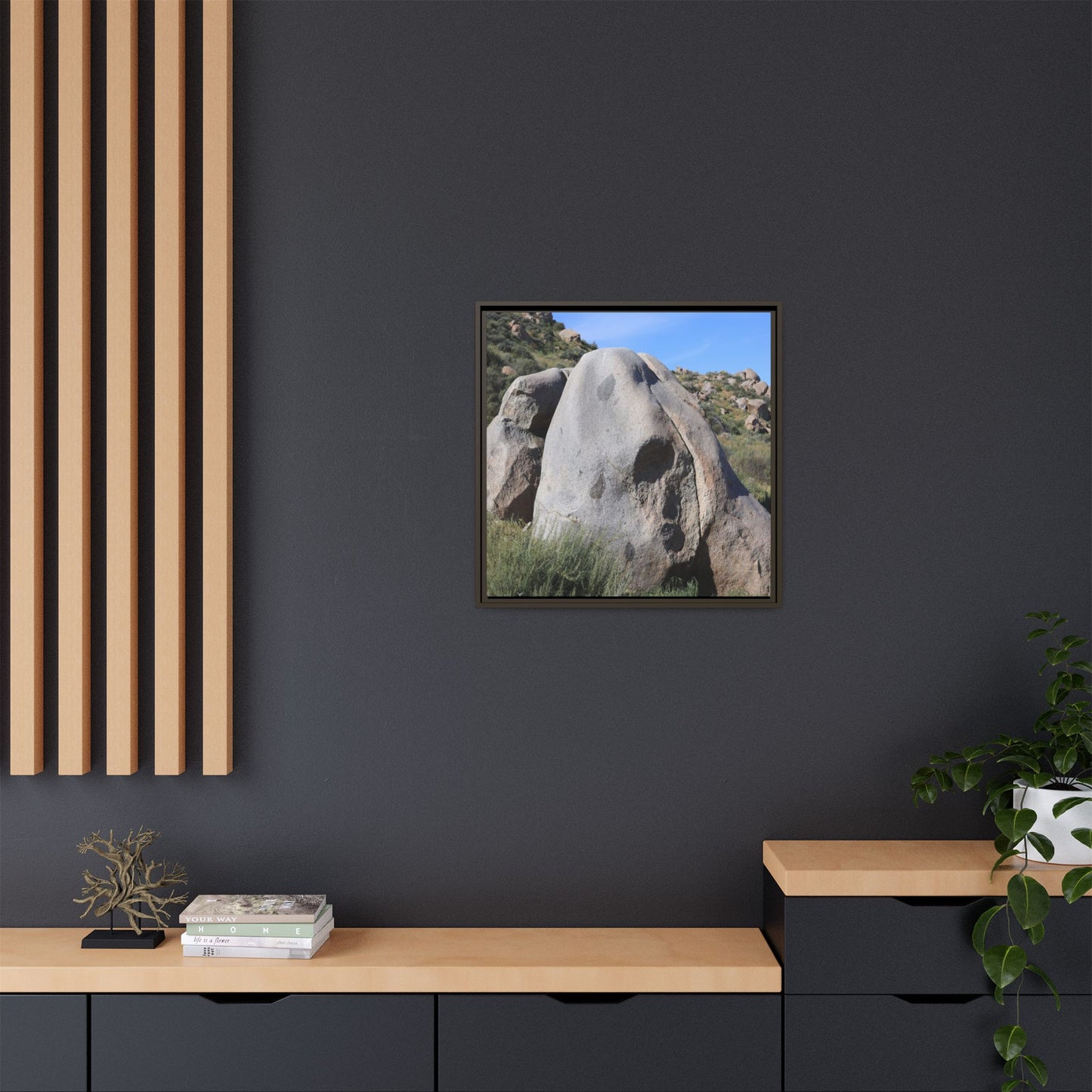 Skull Rock Desert - Unique Stretched Canvas Wall Art - Art By Earth