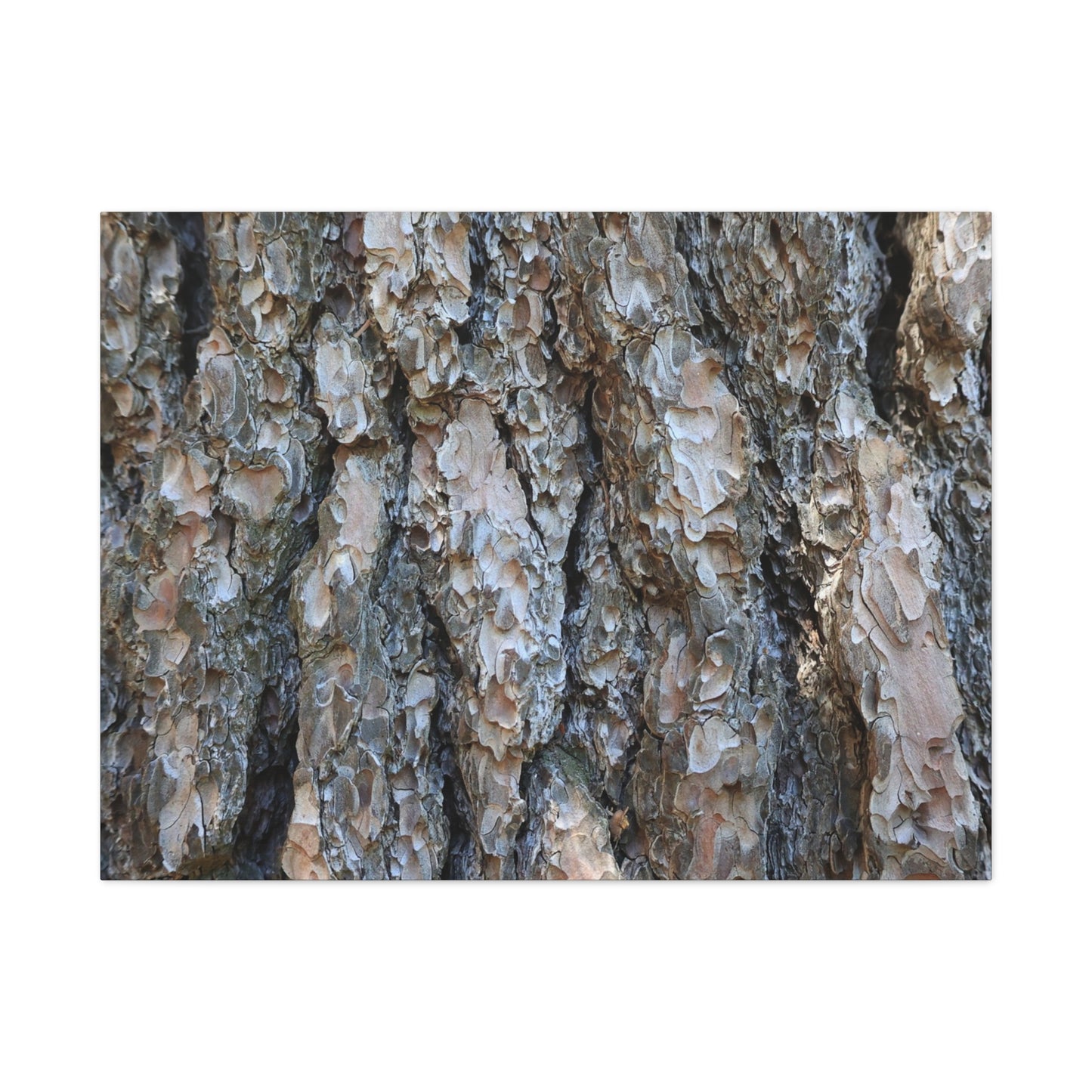 Elemental Tapestry - Unique Frameless Canvas Wall Art - Art By Earth