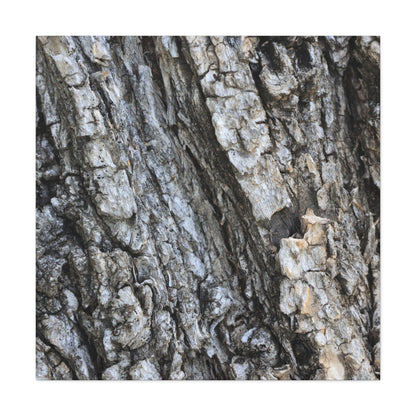 Nature's Rough Embrace - Unique Frameless Canvas Wall Art - Art By Earth