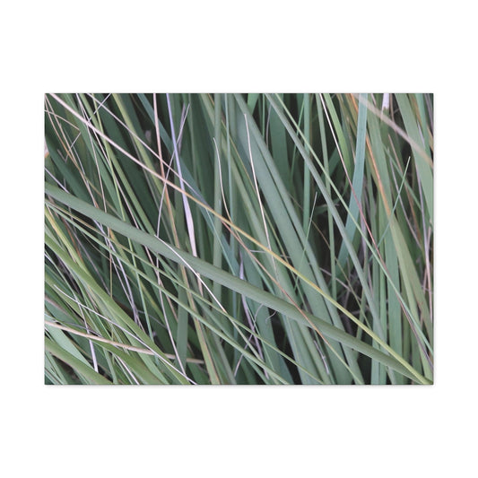 Whispers of Green - Unique Frameless Canvas Wall Art - Art By Earth