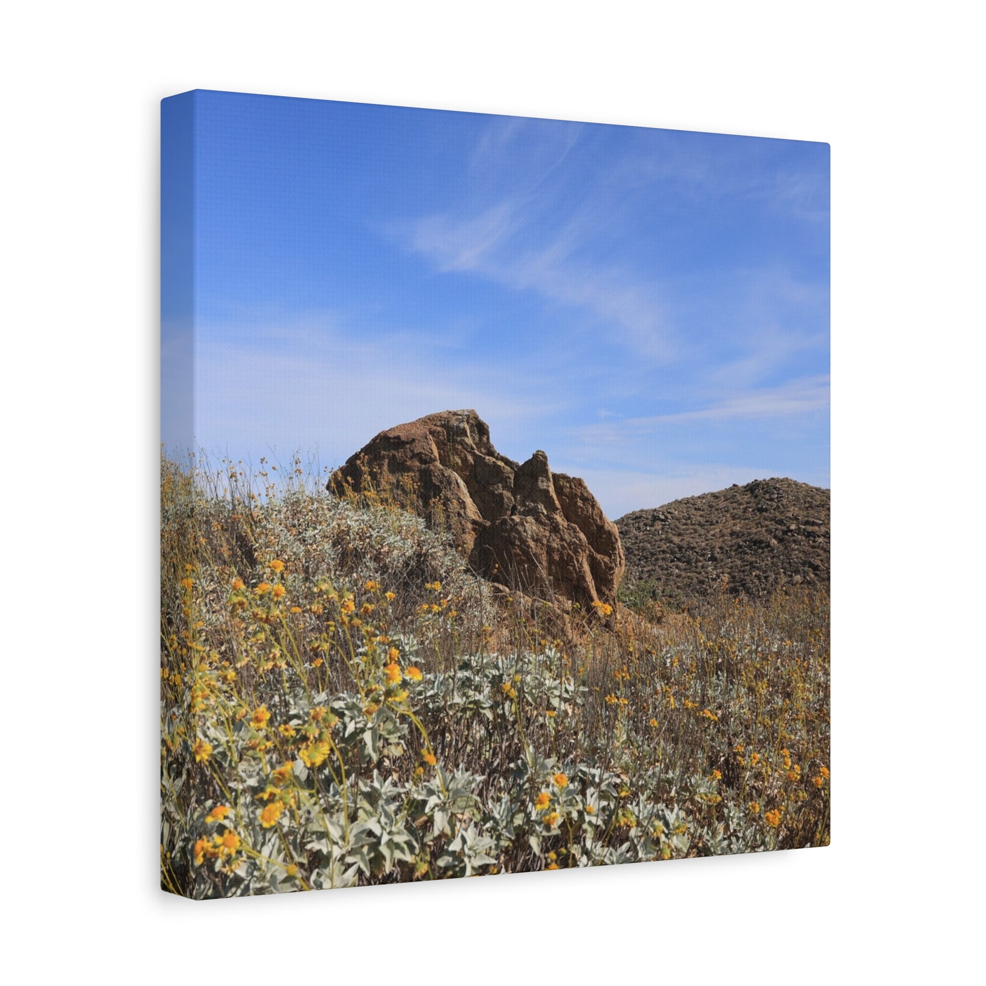 Desert Bloom - Unique Frameless Canvas Wall Art - Art By Earth