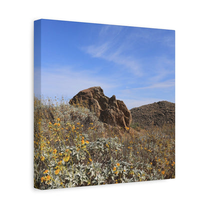 Desert Bloom - Unique Frameless Canvas Wall Art - Art By Earth