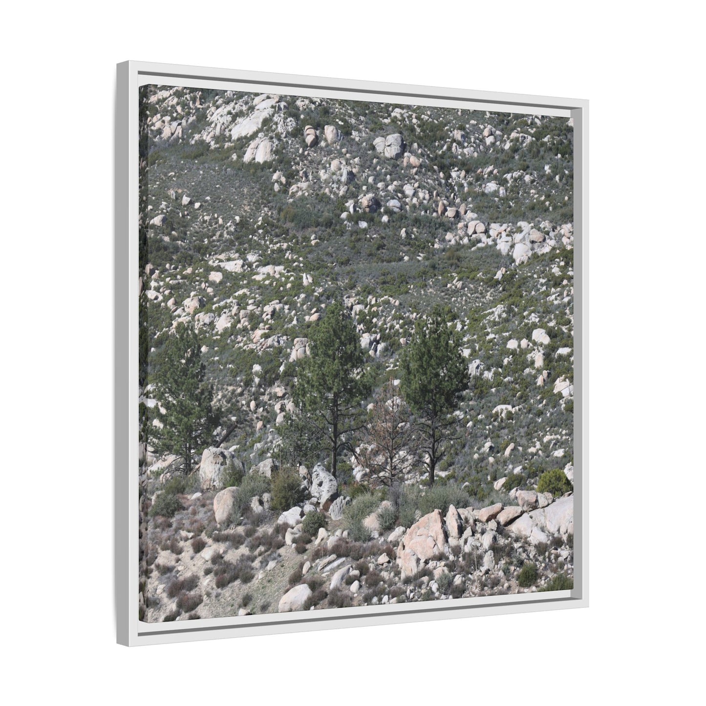Rocky Hillside with Pine Trees - Unique Stretched Canvas Wall Art - Art By Earth