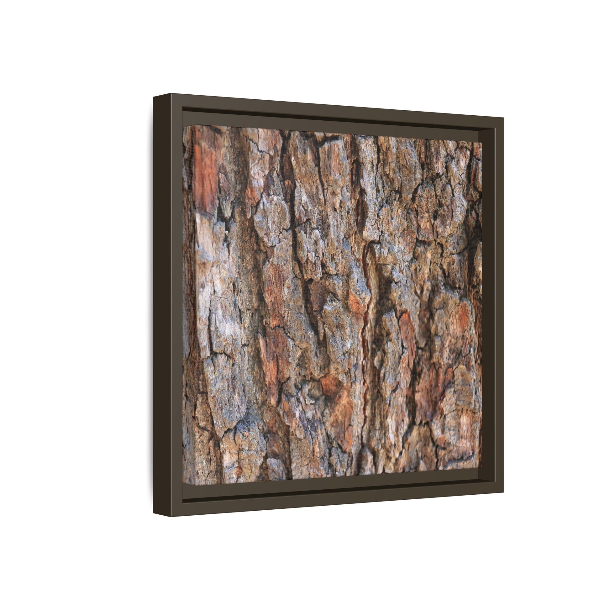 Tree's Timeworn Tale - Unique Stretched Canvas Wall Art - Art By Earth